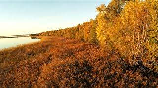 Красный Бор. Озеро Лиcно. Krasny Bor. Lisno lake.