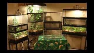 Terrarium Extension