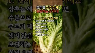 상추가 물러지지 않는 보관법, 이 5가지만 기억하세요!
