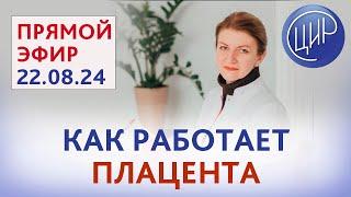 Как работает плацента, что может помешать и как это исправить? Прямой эфир с Дементьевой С. Н.