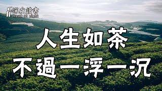 一茶一世界，一壺一人生！人生如茶，盡在這一浮一沉之中【深夜讀書】