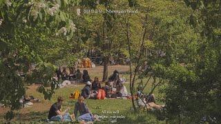 (playlist) Let's go to the Norwegian forest / Newage Piano