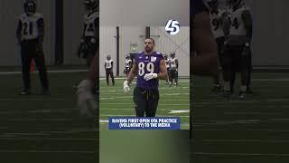 Baltimore Ravens return the field for an Organized Team Activity