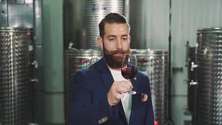 Sommelier Degustating Wine Stock Video