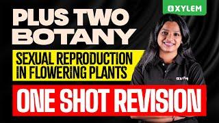 Plus Two Botany - Sexual Reproduction in Flowering Plants - One Shot Revision | Xylem Plus Two