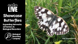 Showcase Butterflies: Expanding Networks of Farmers & Biological Recorders