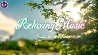 Beautiful  Relaxing Music to relieve stress , Study , Work , Relax ,with beautiful views of Prague.