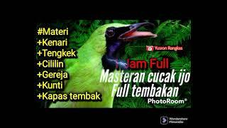 Masteran cucak ijo full tembakan keras