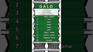 NUMBERS IN THE GALO LANGUAGE