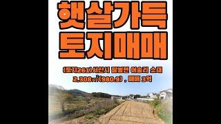 (토지261)서산시 팔봉면 어송리토지매매, 주택,농막 건축추천, 귀촌용토지, 3,243㎡(980.9) , 매매 3억