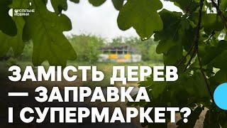 Супермаркет та заправка замість зеленої зони: у Миколаєві можуть зрубати 180 дерев