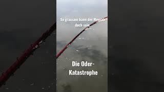 Die Oder - Katastrophe