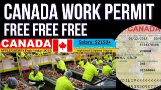 CANADA WORK PERMIT FREE 2022 | CANADA WORK PERMIT, WORK VISA 2022