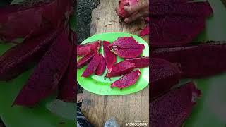 Grandpa cutting Healthy & Juicy Dragon Fruits videos /#J Lay Channel