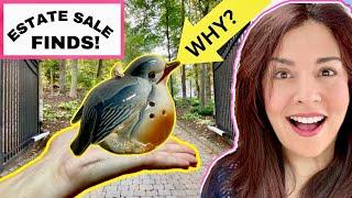 Estate Sale Finds! My Bird Was STOLEN From This MILLION Dollar Estate!!