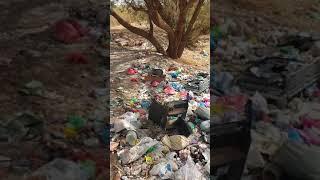 ازبال في طريق عمومية في الراشدية