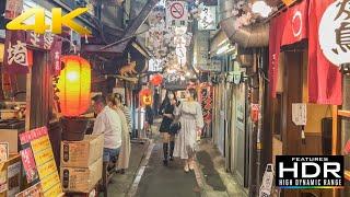  Party Night In Omoide Yokocho (Piss Alley) | Izakaya, Japanese Street Food & Good Vibes!
