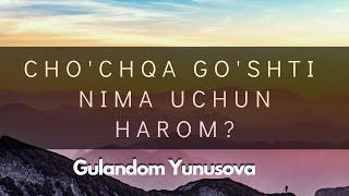 Cho'chqa go'shti nima uchun harom? | GULANDOM YUNUSOVA