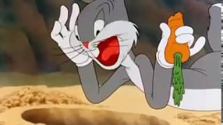 LOONEY TUNES (Looney Toons): The Wacky Wabbit Bugs Bunny Funny Episode