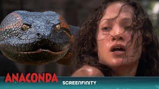 Anaconda's Final Strike: The Ultimate Showdown | Anaconda (1997) | Screenfinity