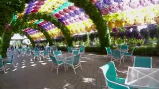 Dubai 2018 (Burj Khalifa, Jumeirah Beach, Miracle Garden)