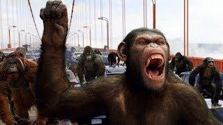 Apes vs Humans - Bridge Battle - Rise of the Planet of the Apes (2011) Movie Clip HD