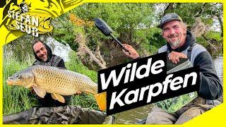 Wilde KARPFEN am kleinen FLUSS | Flach Fangen !! | ACHTUNG Treibgut !!