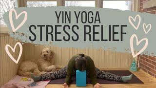 Yin Yoga for Stress Relief | Yoga for EveryBODY | Yoga with Carolynne