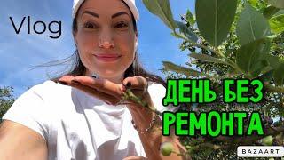 VLOG  УСТАЛА ОТ РЕМОНТА - НЕТ СИЛ УЖЕ | СБОР ЯГОД 🫐 ЗАКУПКА В РУССКОМ МАГАЗИНЕ В ГЕРМАНИИ