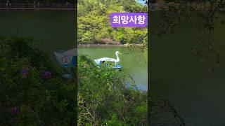 ️꽃길만.걷고프다