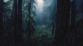 Rain In The Forest ㅣ Sleeping Sound For Insomnia ㅣ 10 Hours of Restful Sleep