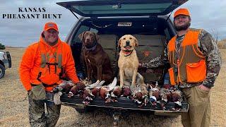 Kansas Pheasant Hunt | Part 1