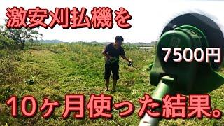 【軽さ＆パワー】もっと早く出会いたかった草刈機。