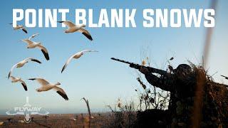 Decoying Snow Geese At Point Blank (Danger Close!!)