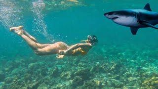 SHARKS and Stunning Scenery! Phi Phi Island Boat Trip ️