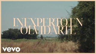 Alejandro Fernández - Inexperto En Olvidarte (Lyric Video)