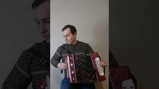 Красивая мелодия на гармони #гармонь #гармошка #cover #beautifulmusic #akordeon #красиваямузыка