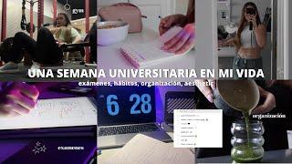 UNA SEMANA UNIVERSITARIA EN MI VIDA *realista* | hábitos, productividad, organización, aesthetic...