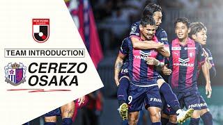 A Taste of Cerezo Osaka: 2023 Meiji Yasuda J1 League Highlights