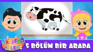 Anibera Ailesi l 5 Bölüm Bir Arada  | Çocuk Masalları | Eğitici Videolar