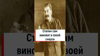 Сталин сам виноват в своей кончине #вов #война #история #ссср