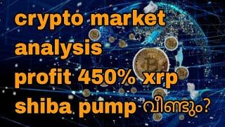 crypto market analysis, profit 450% xrp, shiba inu pump