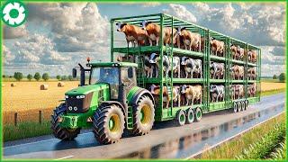 Transporting Millions of Dairy Cows This Way - The Biggest Heavy Machinery | Agricultural Technology