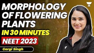 Morphology of Flowering Plants in 30 Minutes with Tricks | 16 marks पक्के | NEET 2023 | Gargi Singh