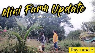 MINI FARM UPDATE (Day1 and 2) AKO NA ANG IN-CHARGE | MMM️