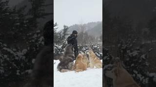 Winter Life in Mountains #mountainlife #lifeinkorea #winterwonderland