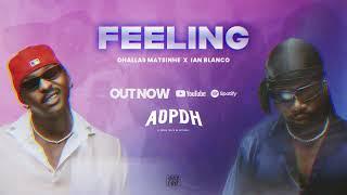 AOPDH - FEELING (Feat. Dhallas Matsinhe, Ian Blanco) AUDIO