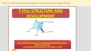 T Cell Development