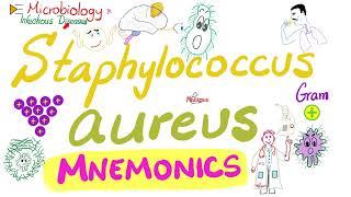 Staphylococcus aureus Mnemonics | Microbiology  & Infectious Diseases 