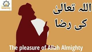 Allah ki raza | The pleasure of Allah Almighty